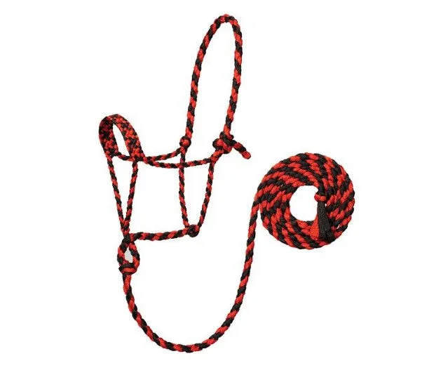 Weaver Braided Rope Halter with 10' Lead